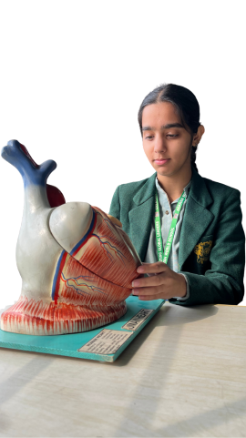 Adarsh World School Dwarka 011 4501 7923, 4501 7924  Fee Support