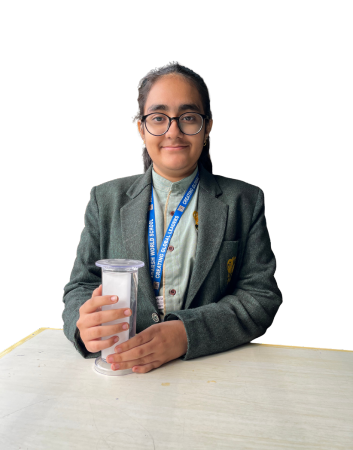 Adarsh World School Dwarka 011 4501 7923, 4501 7924  img